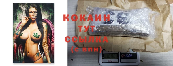 крисы Карпинск