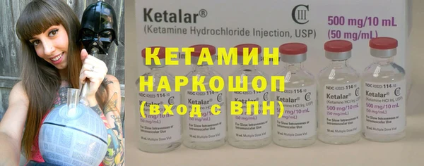 индика Инта