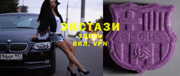 индика Инта