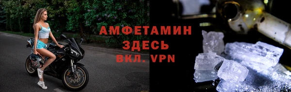 индика Инта