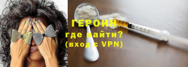 индика Инта