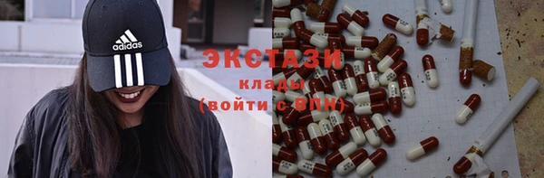индика Инта