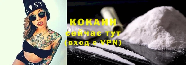 сатива Каменка