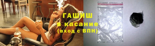 индика Инта