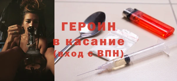 индика Инта