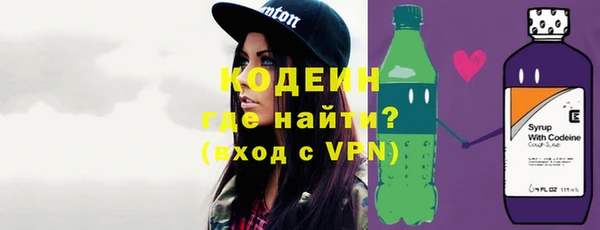 сатива Каменка