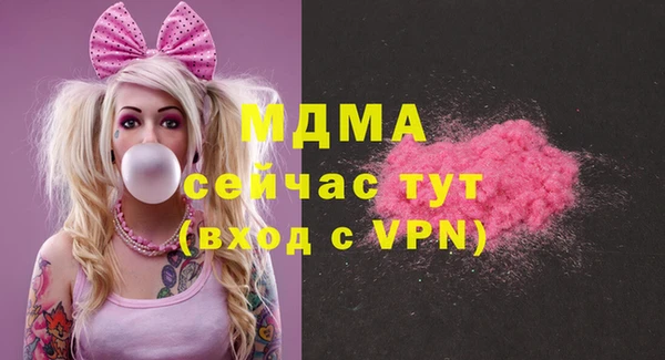 индика Инта