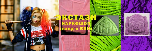 индика Инта