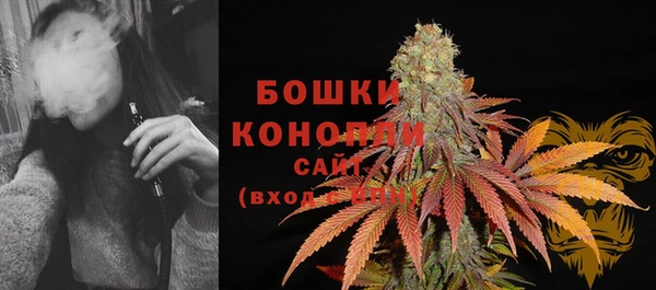 индика Инта