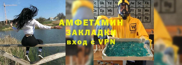 индика Инта