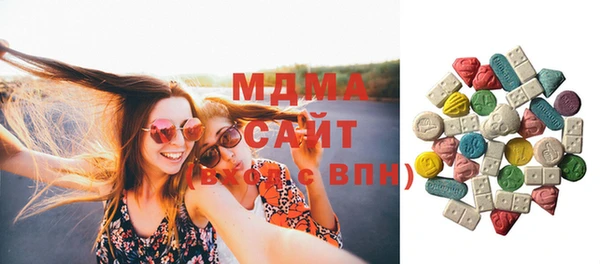индика Инта