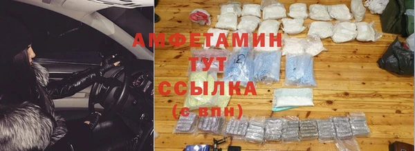 сатива Каменка