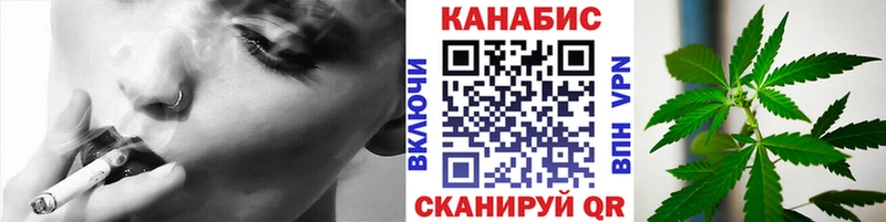 Бошки Шишки планчик  Купить закладки  Гусиноозёрск 